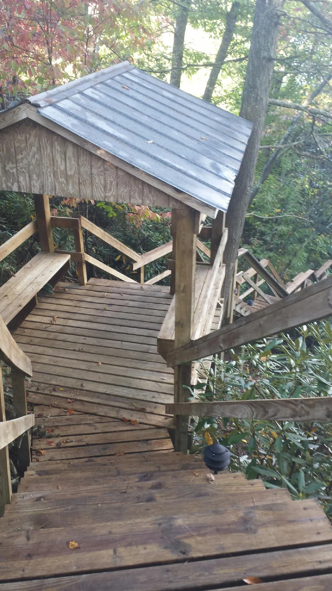 Metal roofed shelter over wooden steps on a wooded walkway — Skylight Repair & Installation work by our crew in Readyville